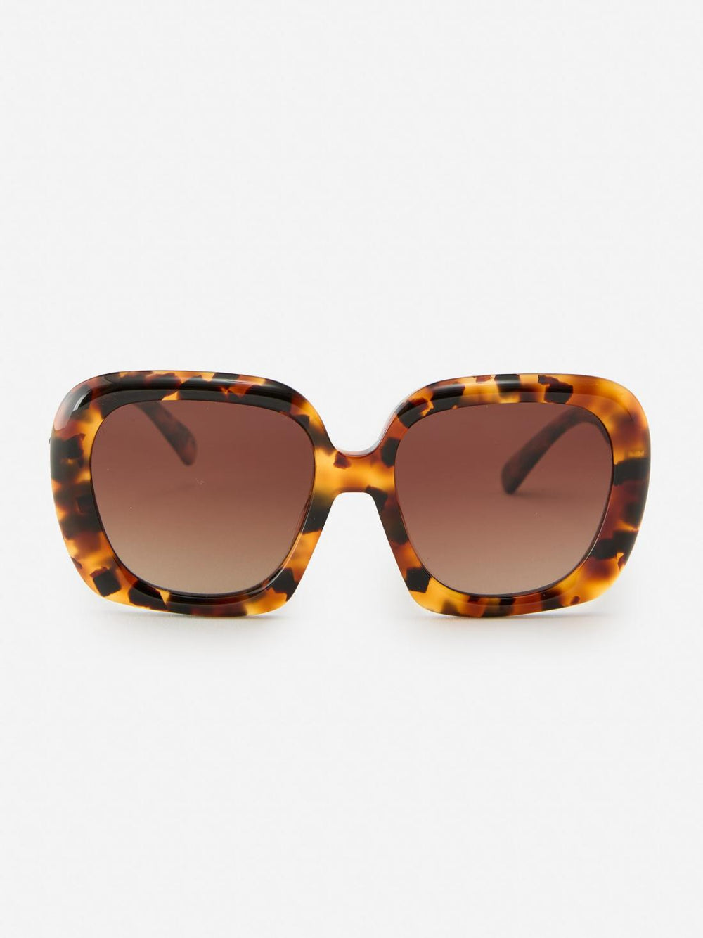 J.McLaughlin Riley Sunglasses In Tortoise Brown | Women Eyewear